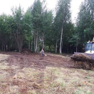 очистка земли вольеры